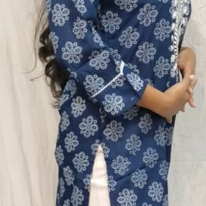 Women’s/Girl’s Cotton Blend Straight Cut Printed Embroidered Kurti