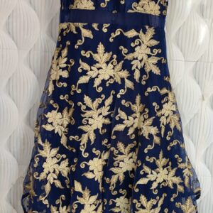 Women’s and Girl’s Blue Siffon Embroidered Gold Gown